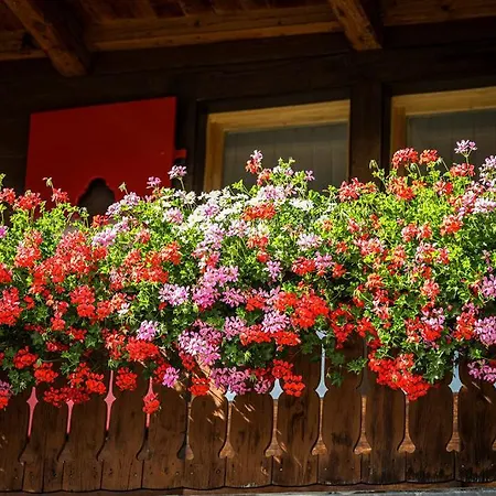 Hotel Sonnenhalde, 3*