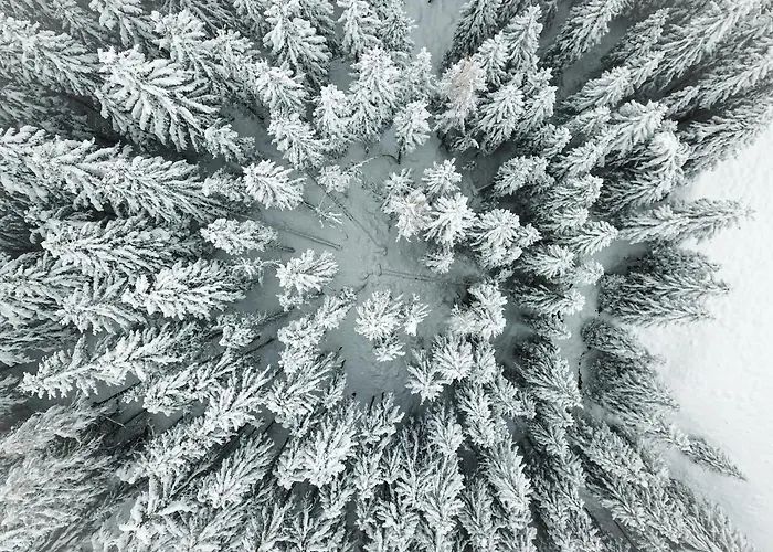 Отель Sonnenhalde,