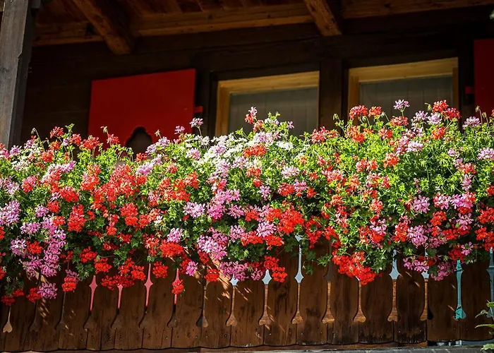 Hotel Sonnenhalde, 3*